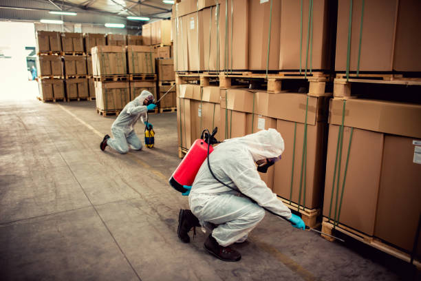 Best Residential Pest Control  in Norton, VA