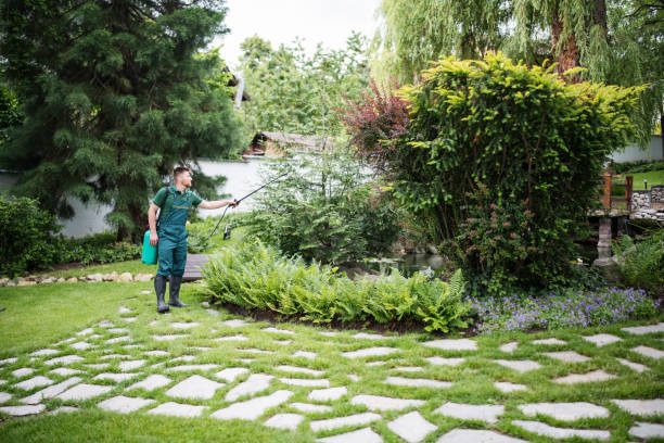Best Pest Inspection Near Me  in Norton, VA