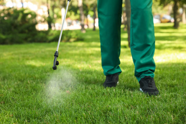 Best Pest Removal Services  in Norton, VA