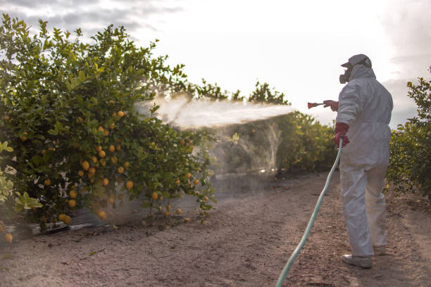 Best Pest Prevention Services  in Norton, VA
