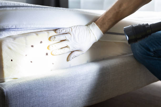 Best Best Pest Control Companies  in Norton, VA