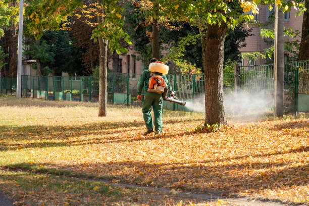 Best Bird Control  in Norton, VA