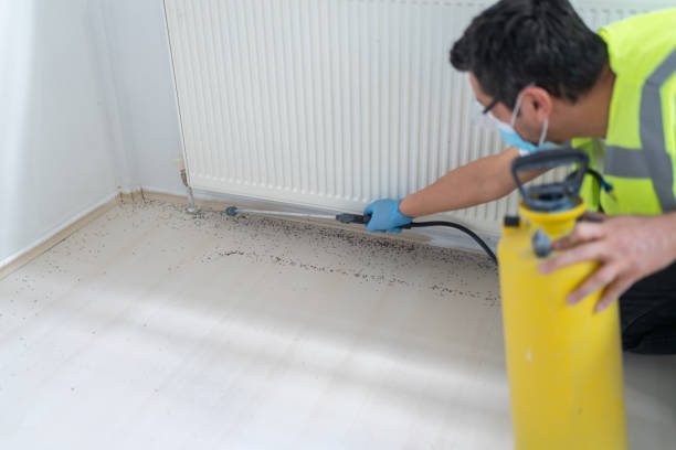 Pest Control Cost in Norton, VA